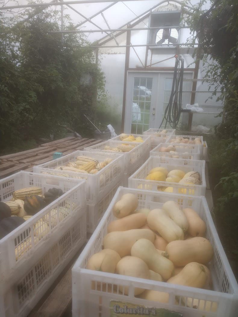Farm Work